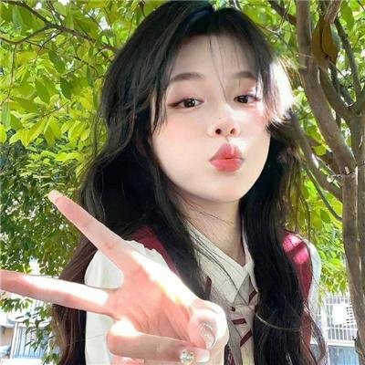 双面骗子虚假警察第一季